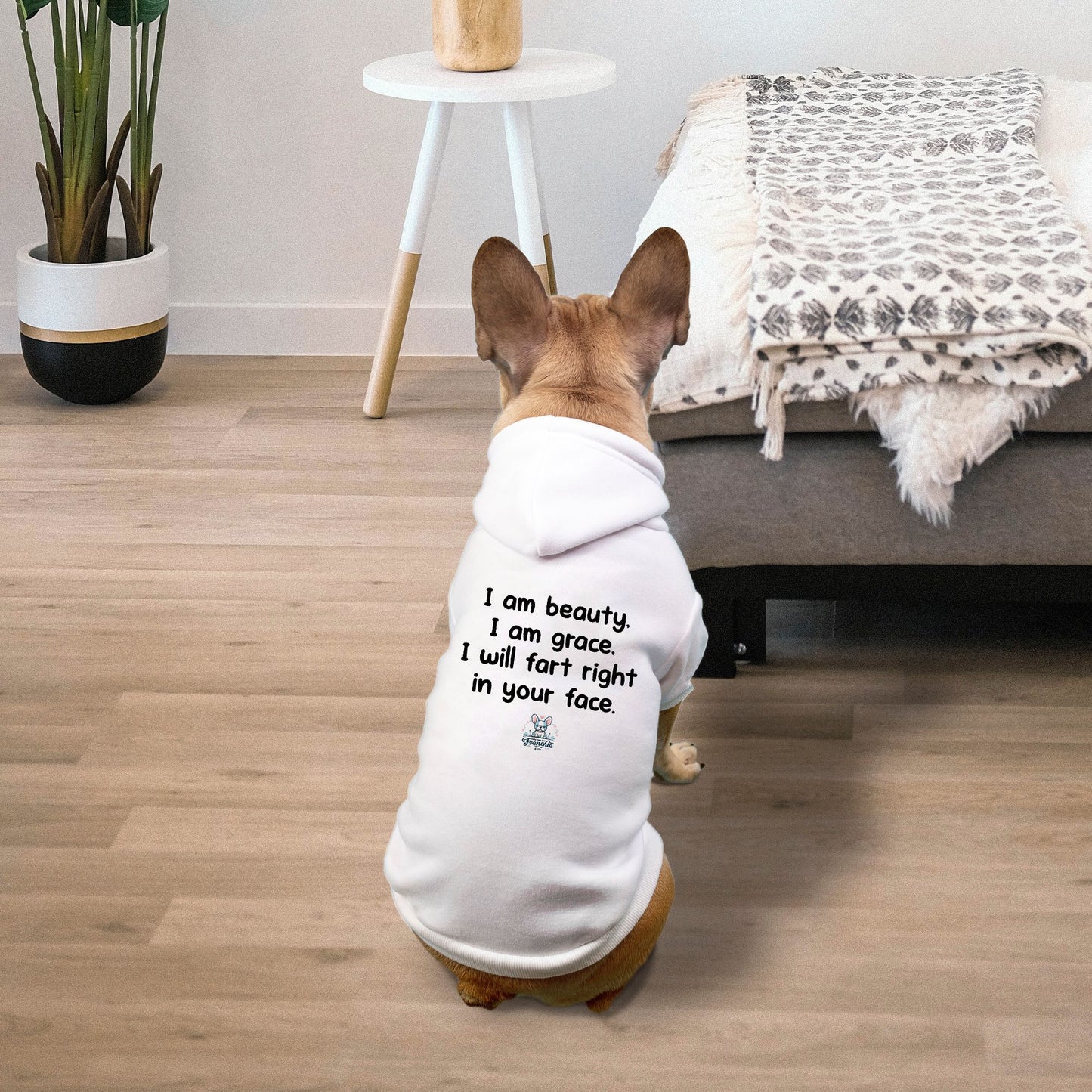 Pet Hoodie - Small Breed
