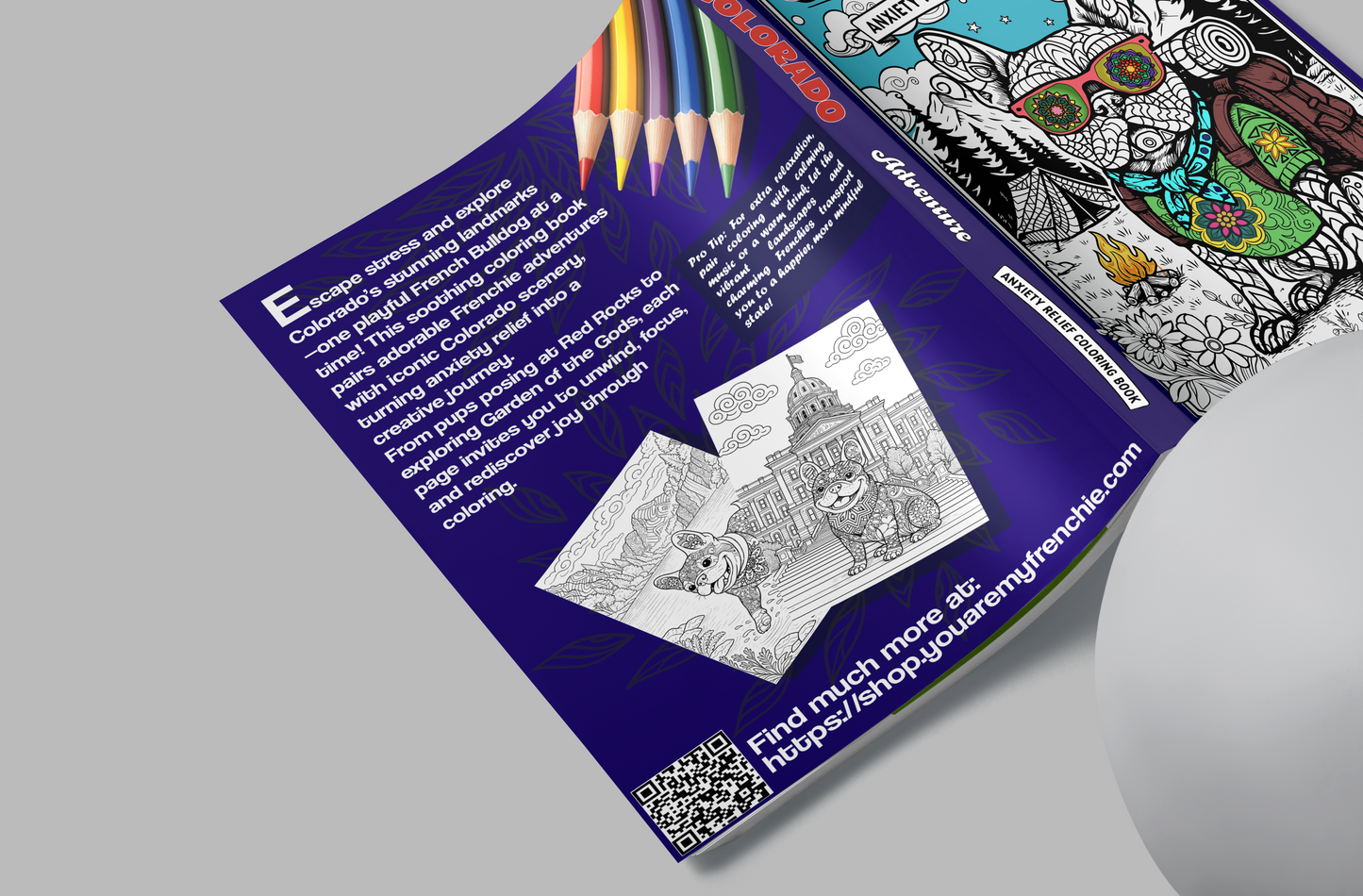 Colorado Adventure: Anxiety Relief Coloring Book | 50 French Bulldog Mandalas at Colorado Landmarks for Mindful Stress Relief