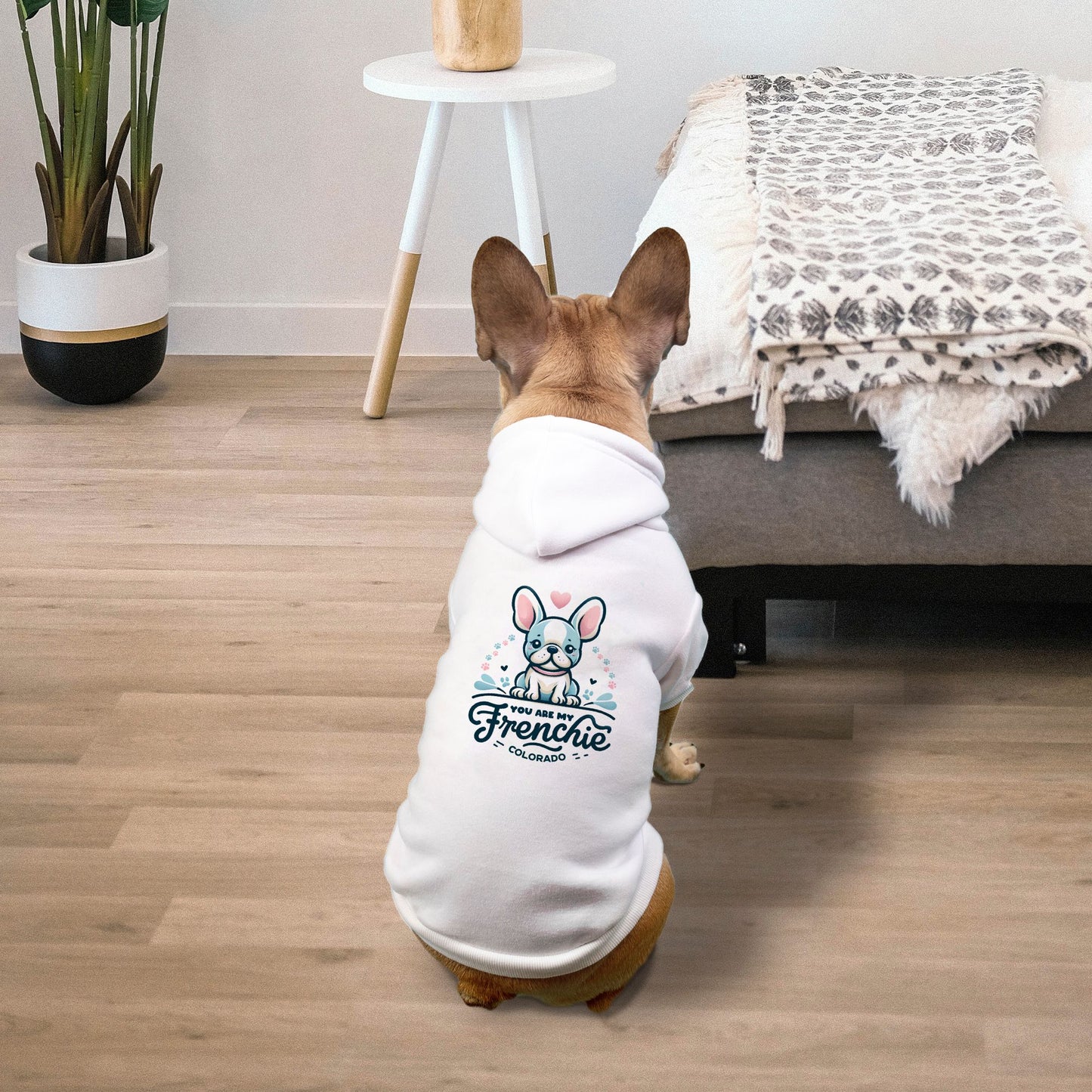 Pet Hoodie - Small Breed