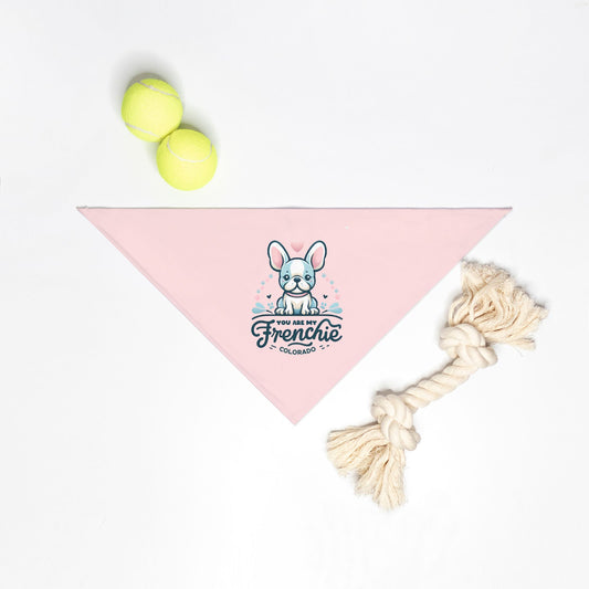 Small Breed Pet Bandana