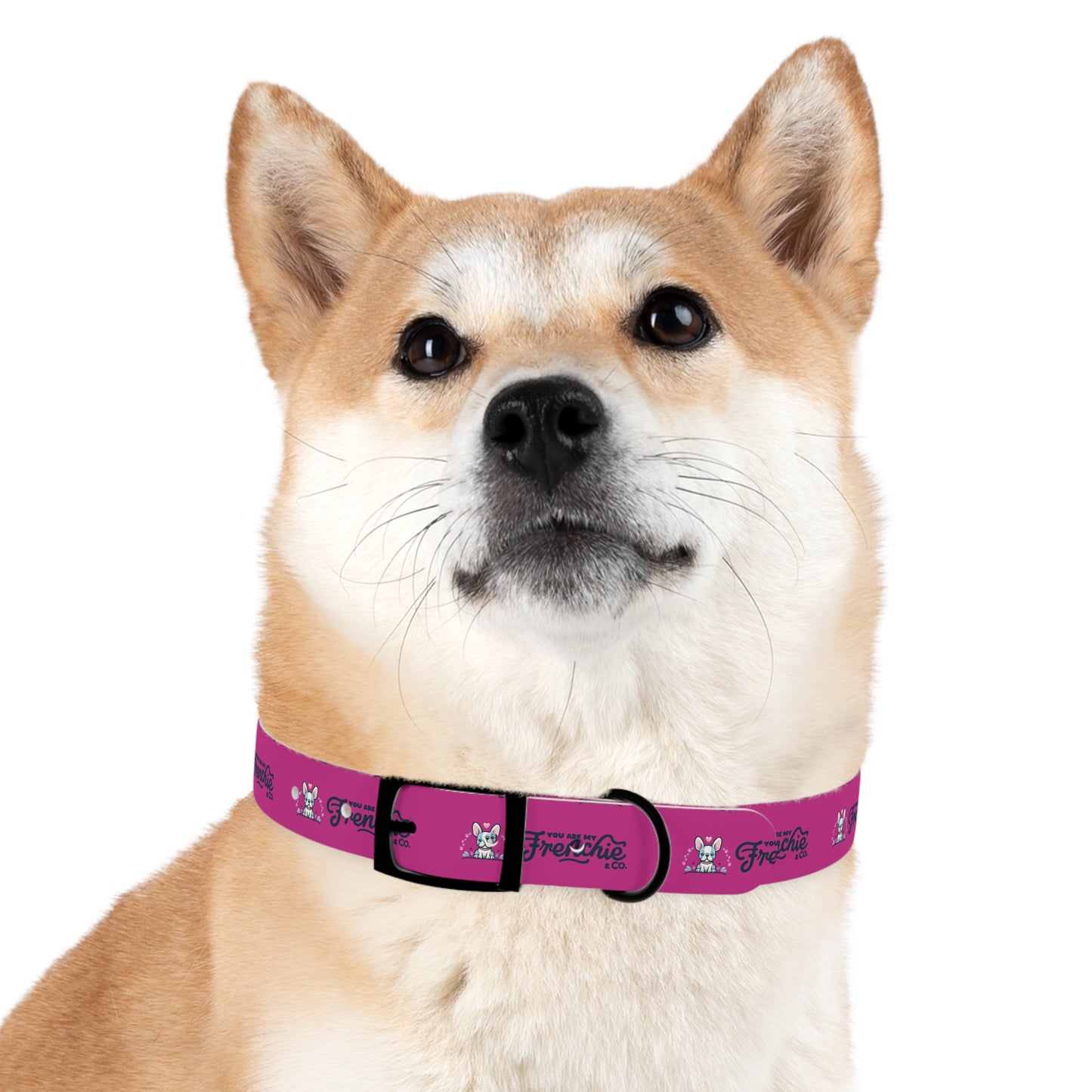 Dog Collar