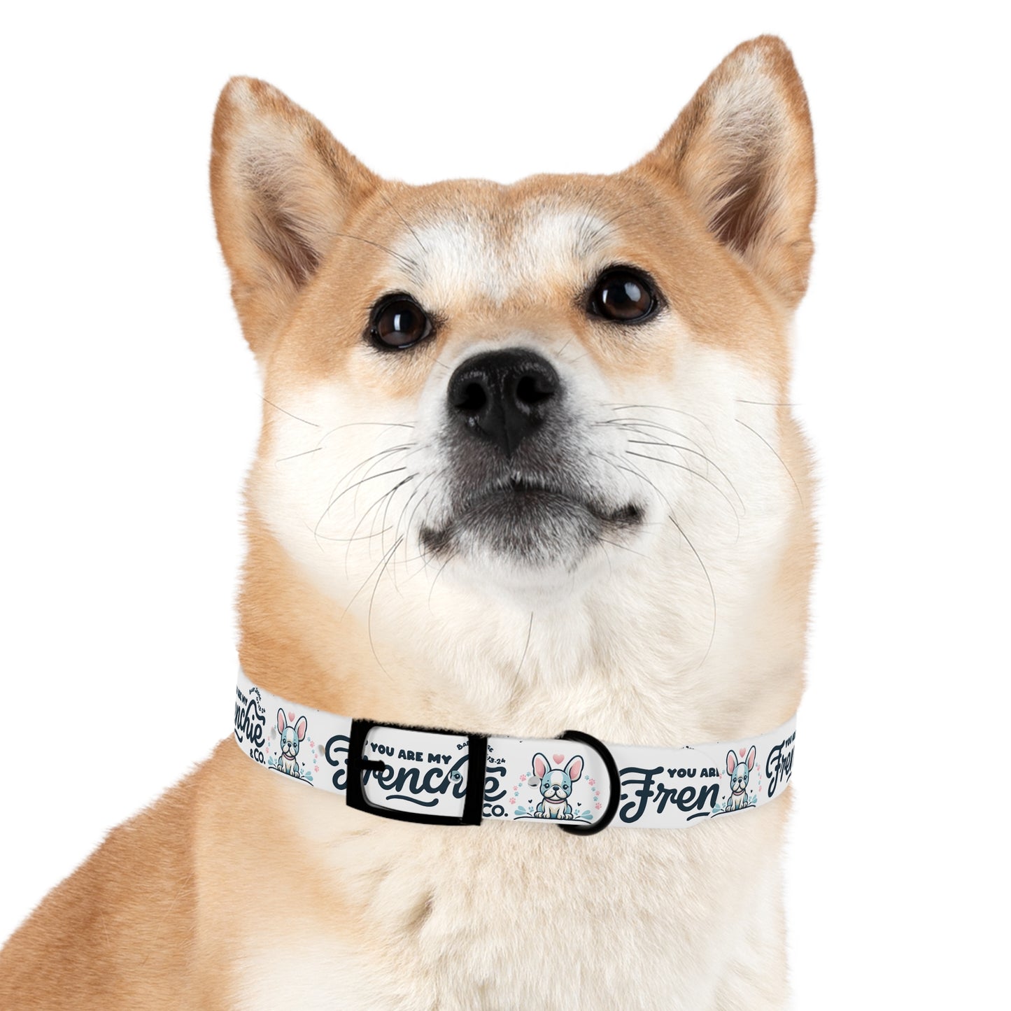 Dog Collar