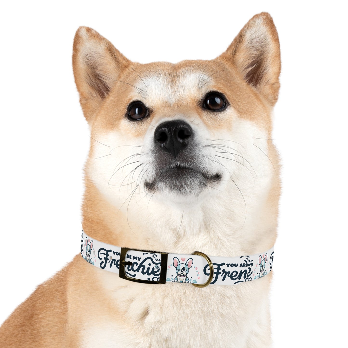 Dog Collar