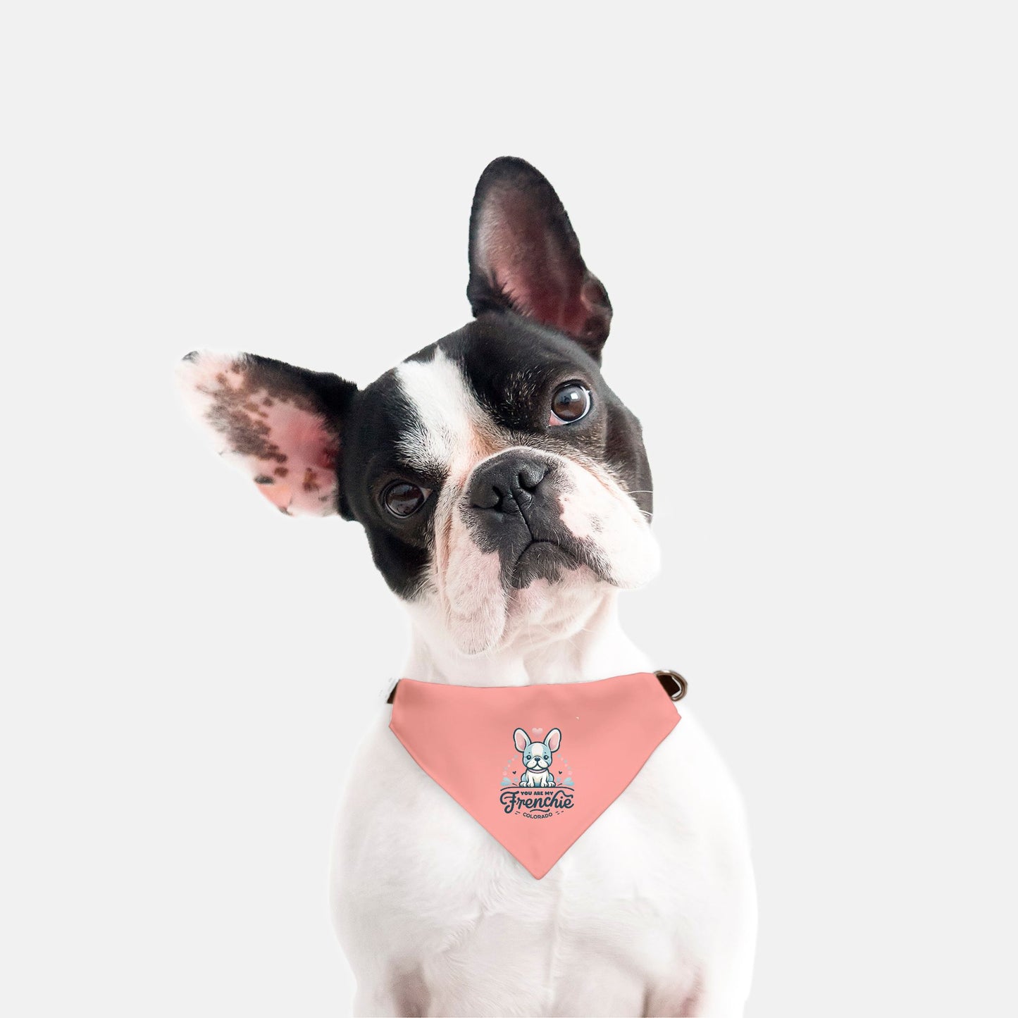 Collar Pet Bandana (Sm & Med)