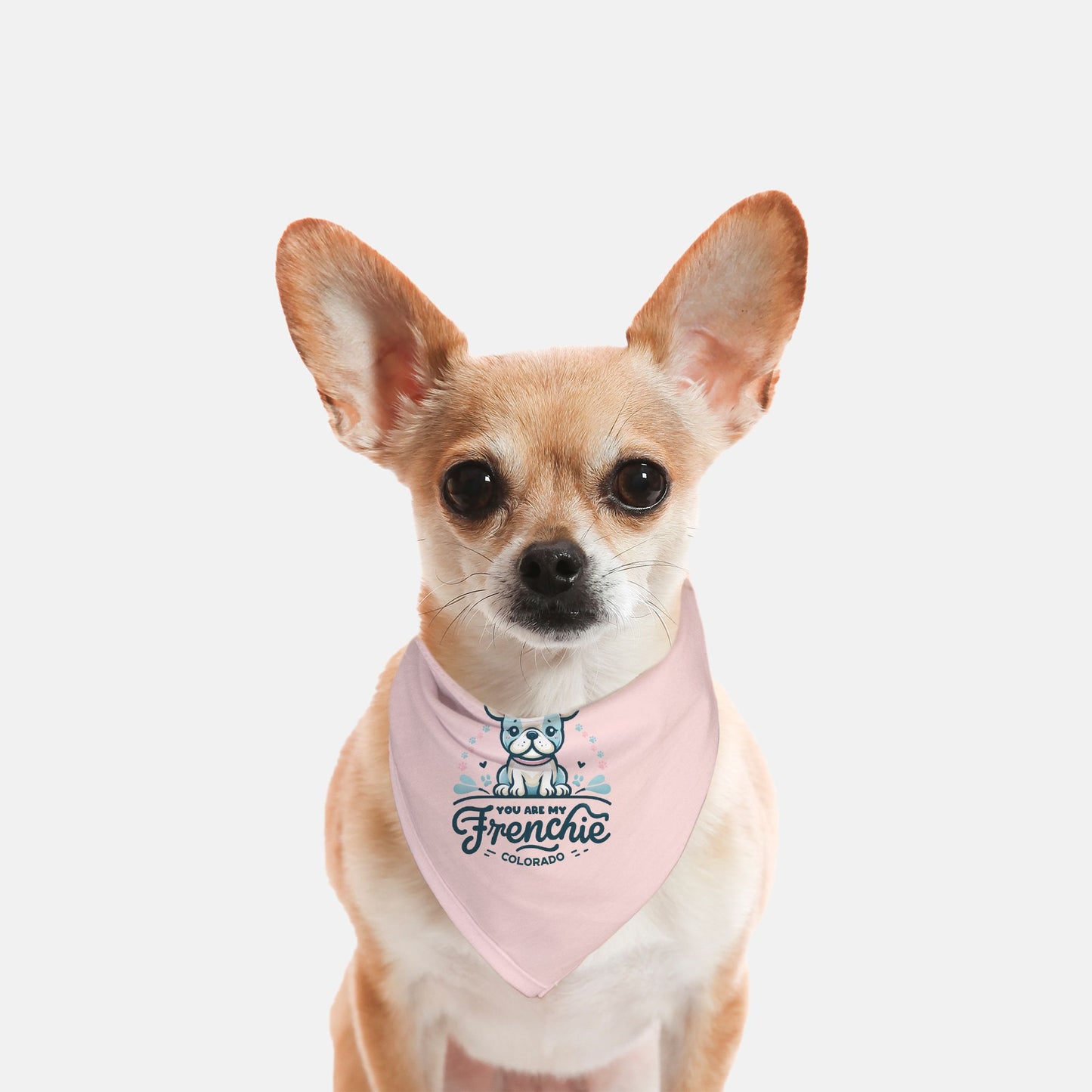 Small Breed Pet Bandana