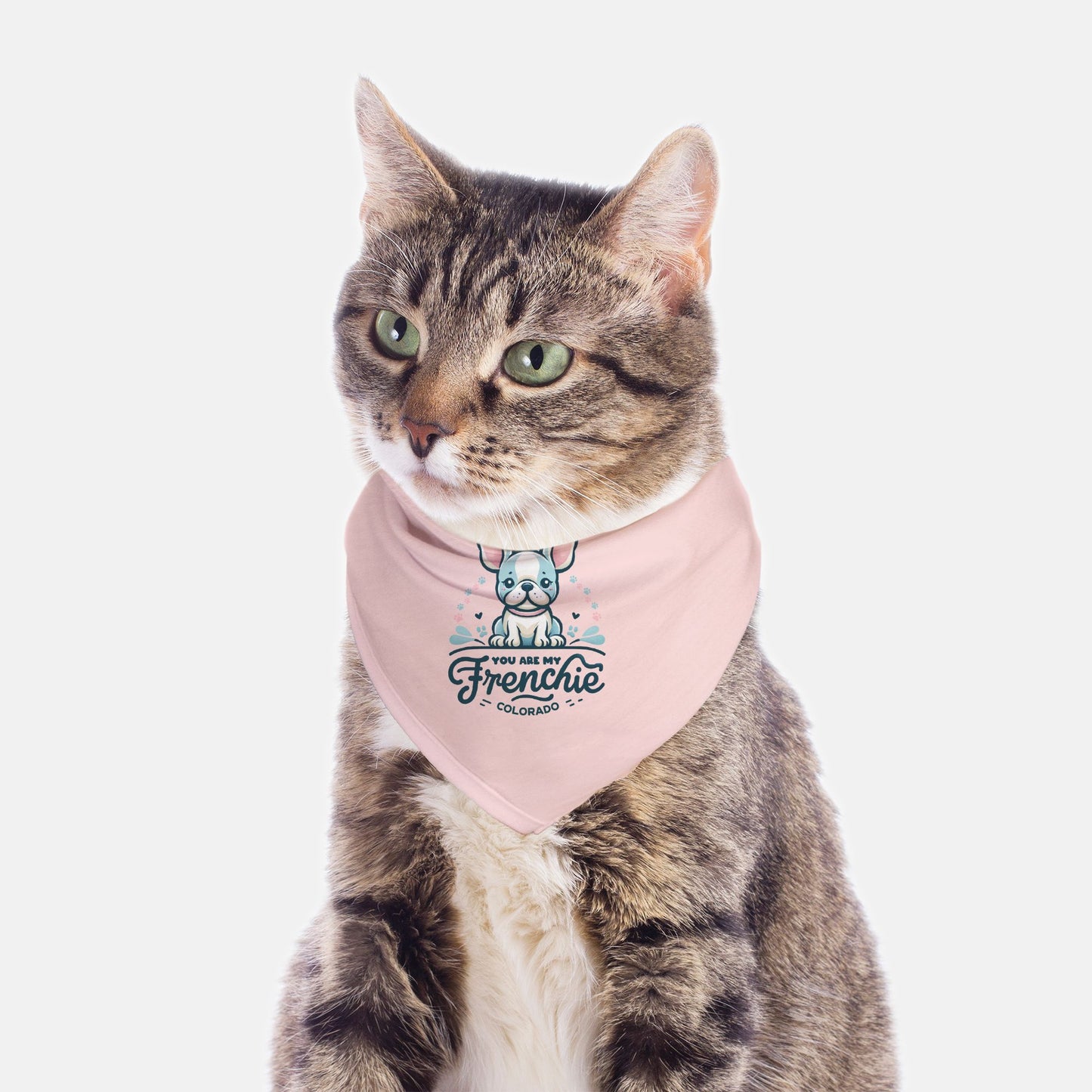 Small Breed Pet Bandana